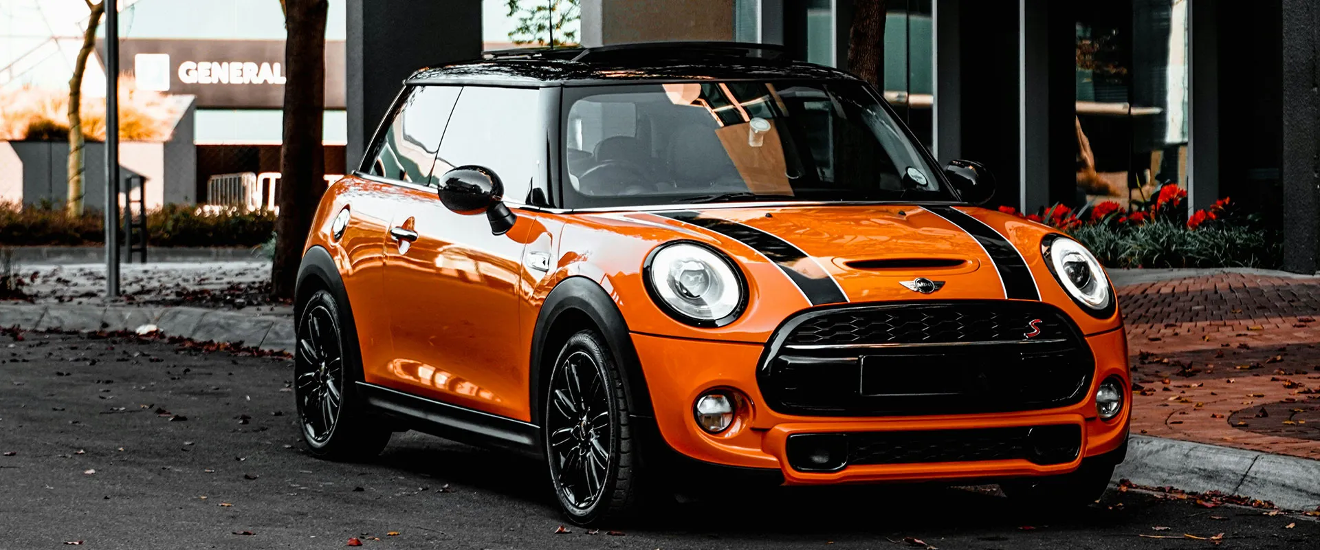 European Repair near Auburn, NY